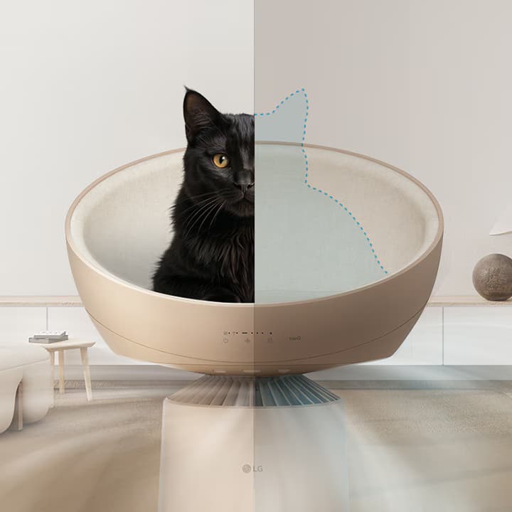 猫咪放松模式
