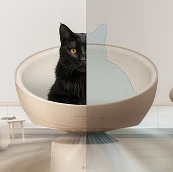 猫咪放松模式