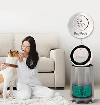 自由呼吸，与宠物共度快乐时光