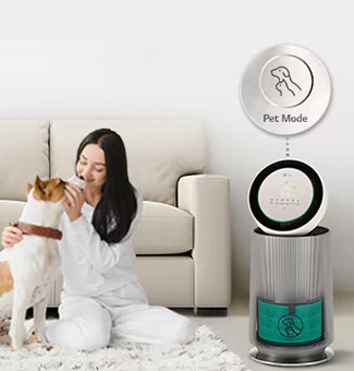 自由呼吸，与宠物共度快乐时光