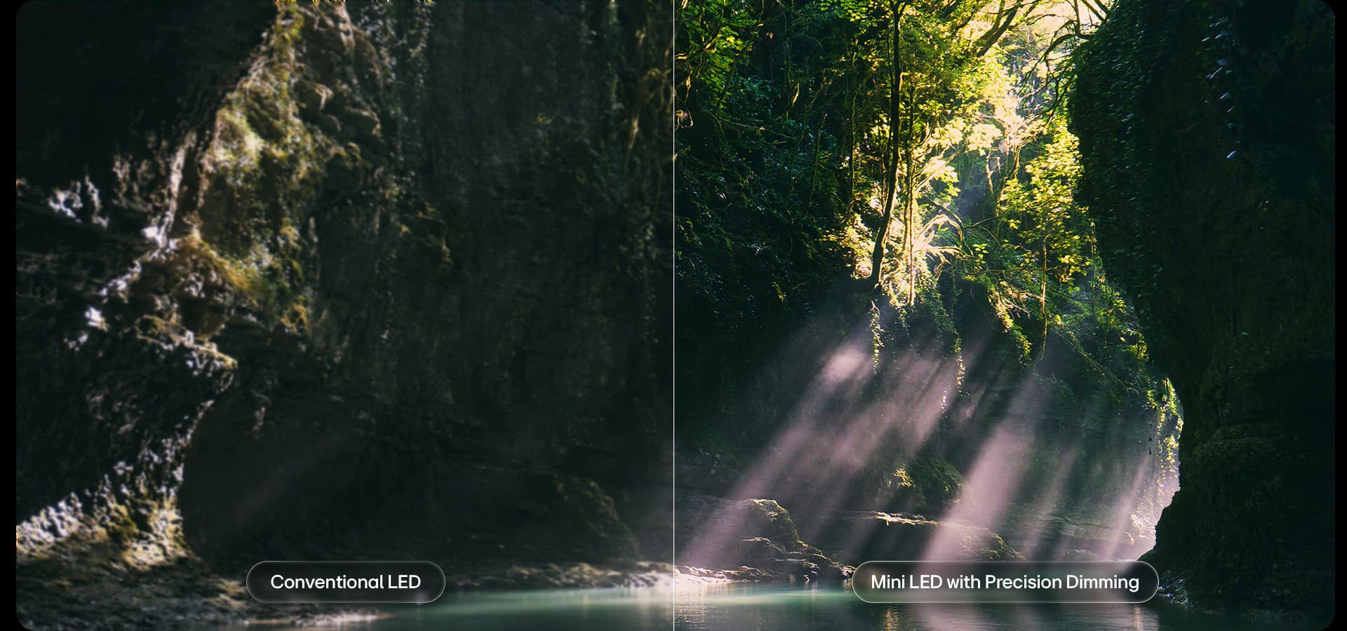 Mini LED meets Precision Dimming brings out clarity with better contrast and detail