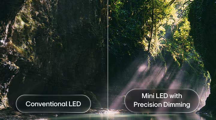 Mini LED meets Precision Dimming brings out clarity with better contrast and detail
