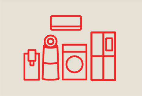Flexible Product Choices