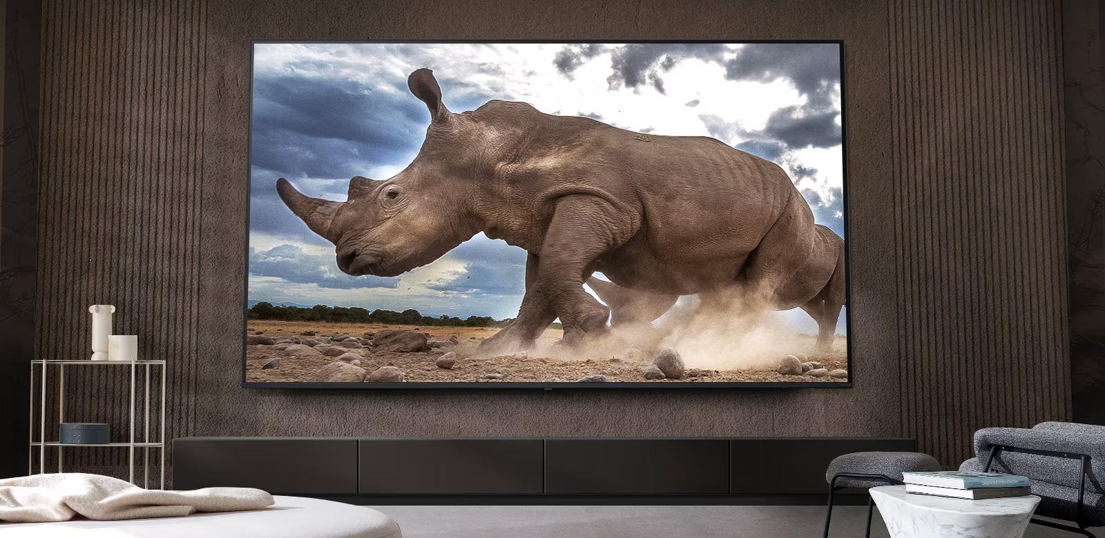 Every year new TV for 5 years